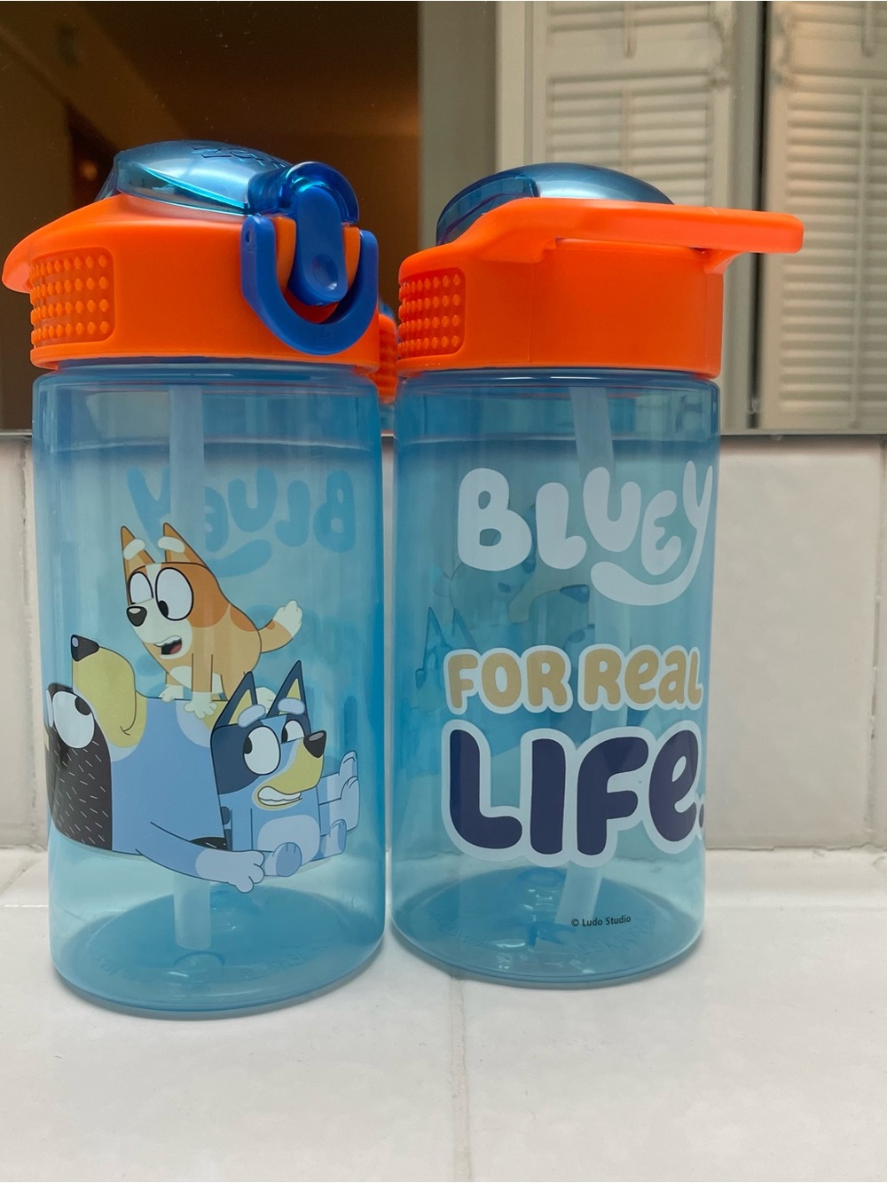 Bluey "For Real Life" Kids Water Bottle - Blue & Orange